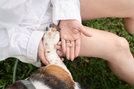 How Jewelry Can Help You Heal After Losing a Beloved Pet - ilMio Jewelry