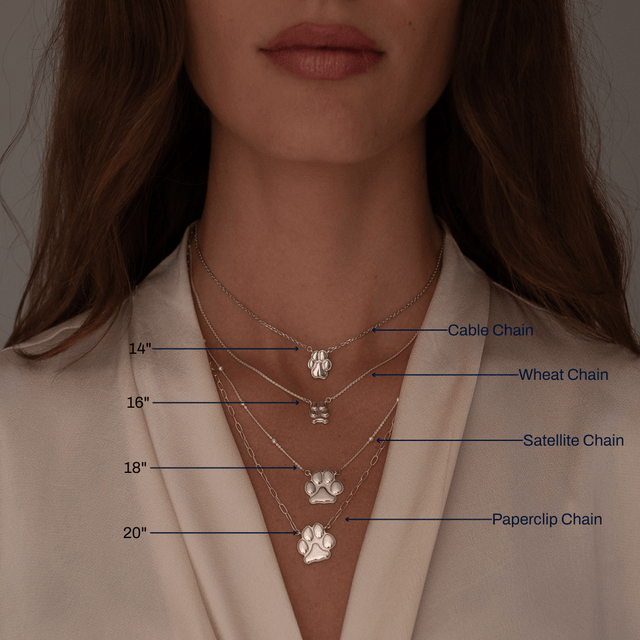 Silver Petite Paw Necklace | Custom Beautiful Meaningful Jewelry - ilMio Jewelry