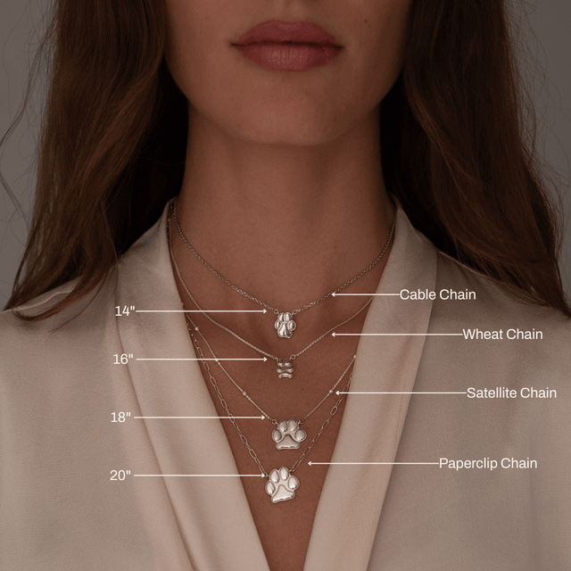 Diamond Classic Paw Necklace | Custom Beautiful Meaningful Jewelry - ilMio Jewelry