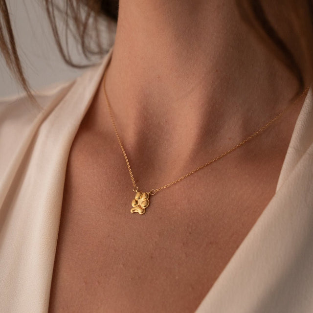 Gold Petite Paw Necklace | Custom Beautiful Meaningful Jewelry - ilMio Jewelry